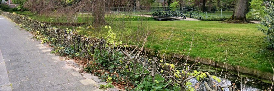 groenonderhoud