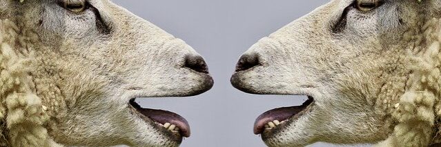 woordvoering kadernota