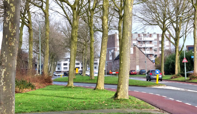 Platanen Stadspolderring