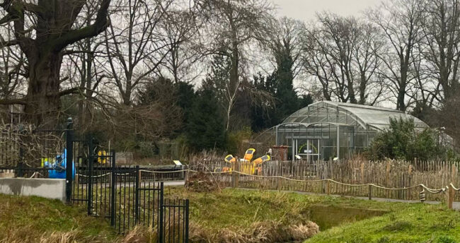 gewoon vragen gewoon vragen